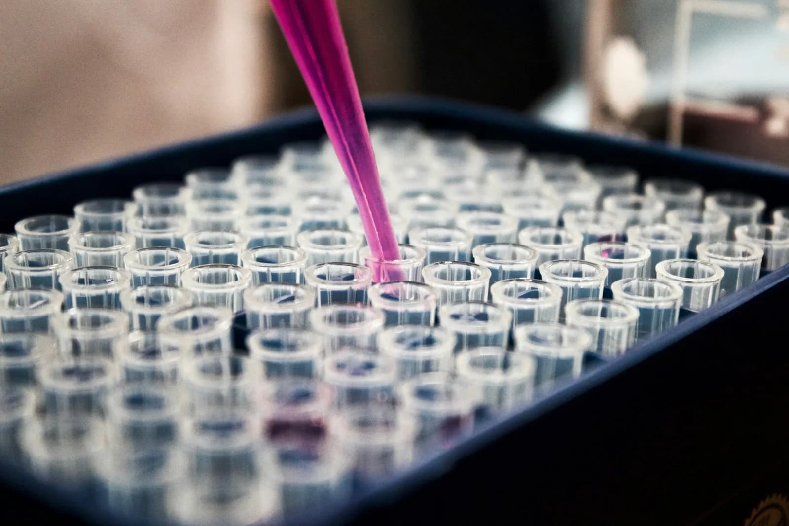 HSC Chemistry: Why the Students Who Memorise the Most Reactions Often Score the Least